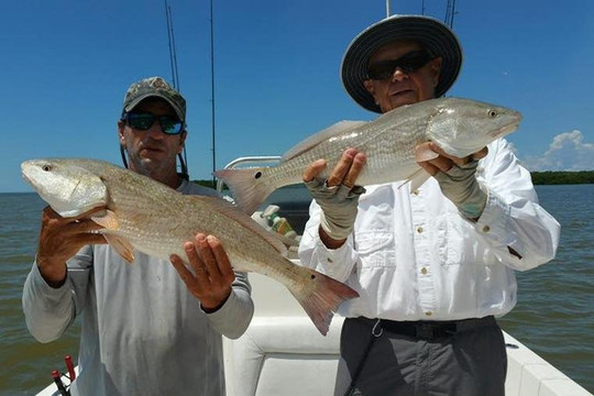 Tampa Florida Fishing-坦帕必去景点