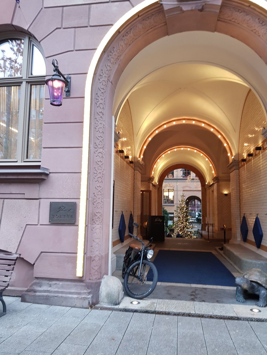 汉堡Tortue-portrait