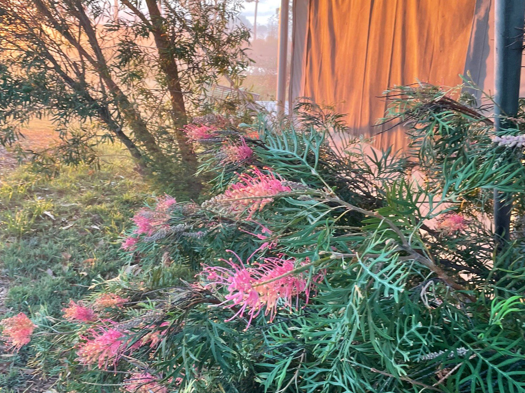 Donnybrook Eco Retreat