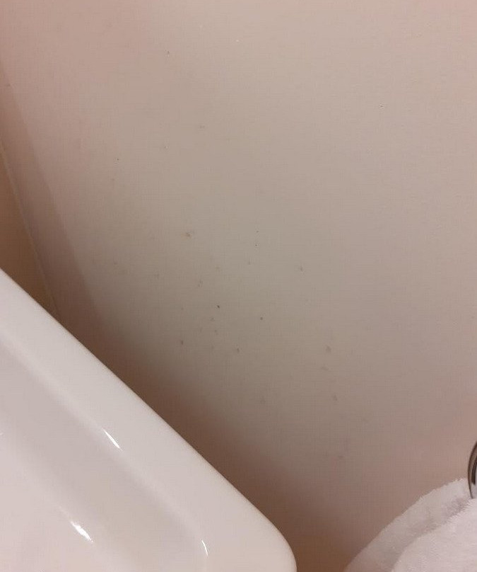 赫斯顿海德酒店主图