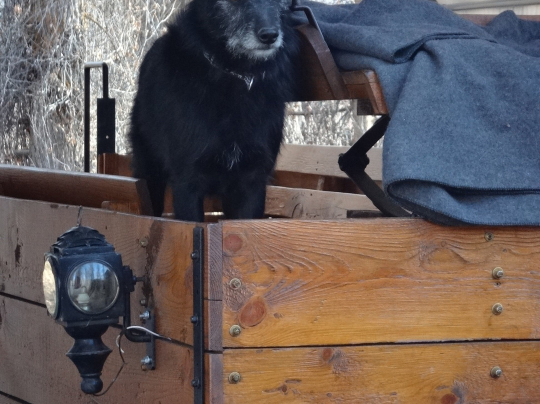 Jackson Hole Vintage Adventures-威尔逊必去景点