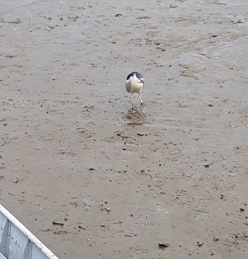 Pedrinhas Beach-Ilha Comprida必去景点