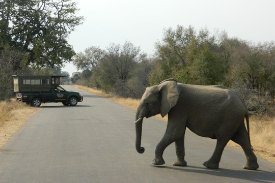 Tours and Tickets South Africa-雾观必去景点