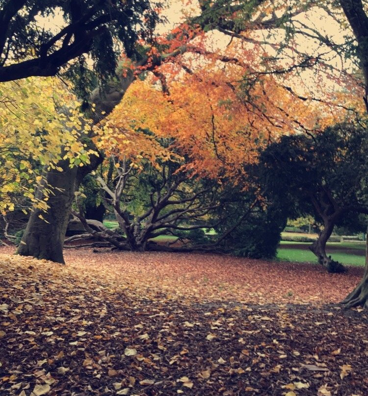Saltwell Park-盖茨黑德必去景点