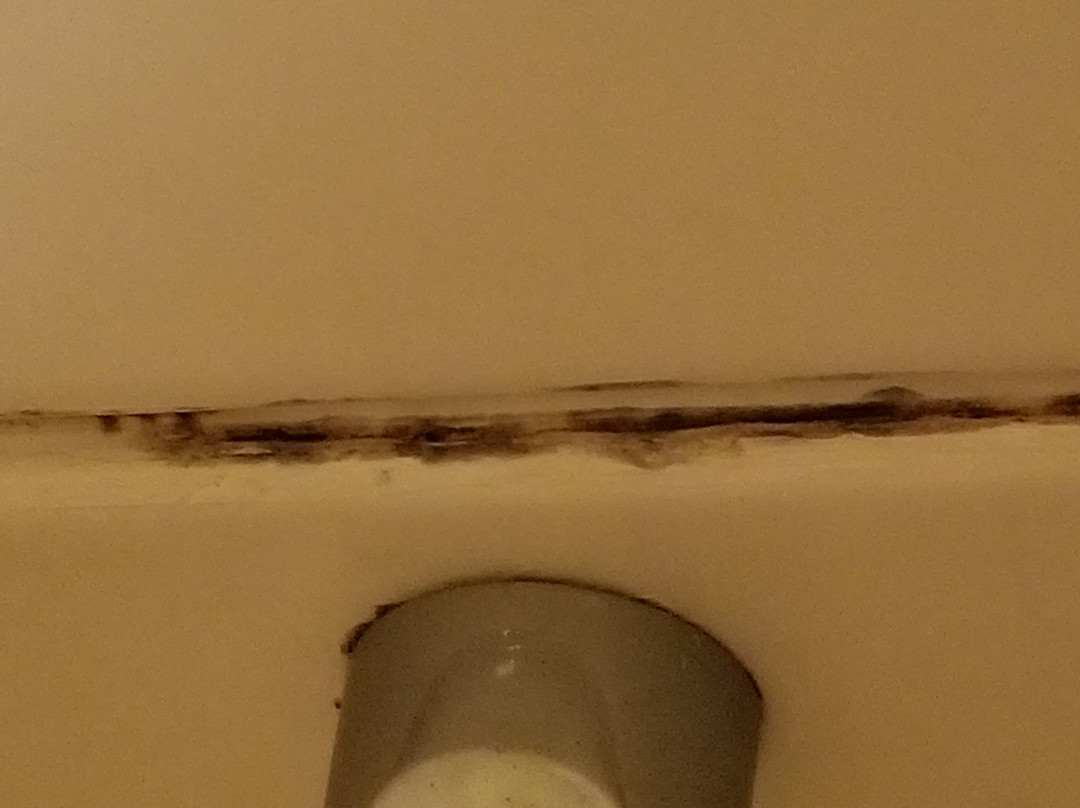 Old Wooden Bridge Marina主图