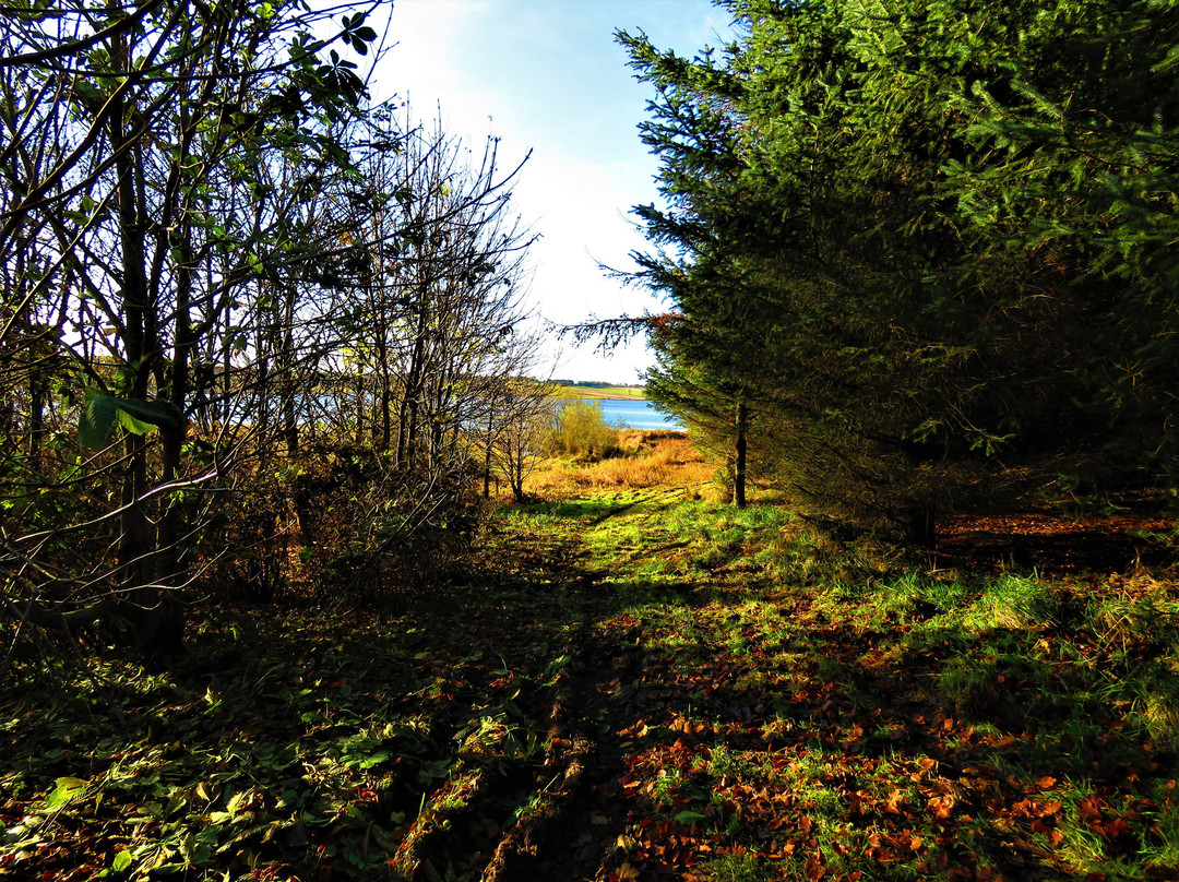 Loch Fitty-Kinross必去景点