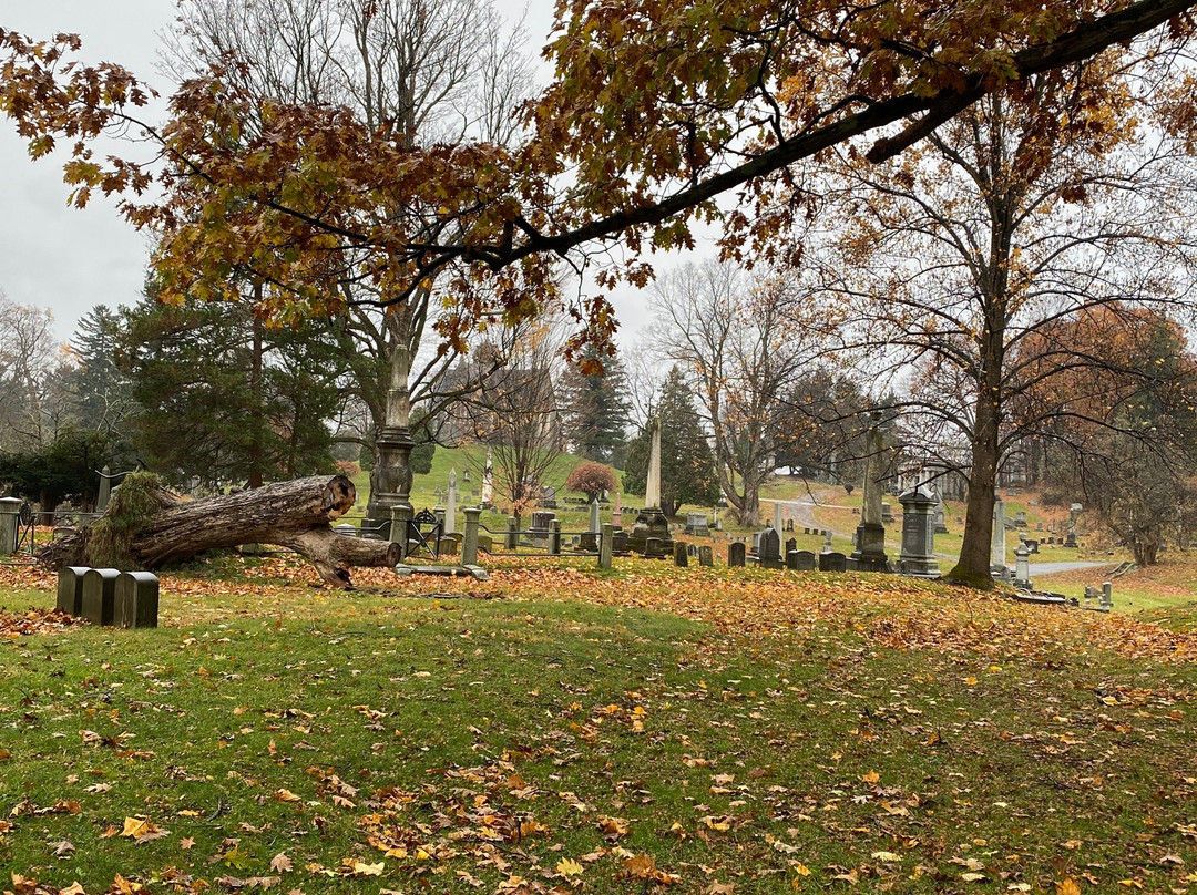 Oakwood Cemetery景点图片