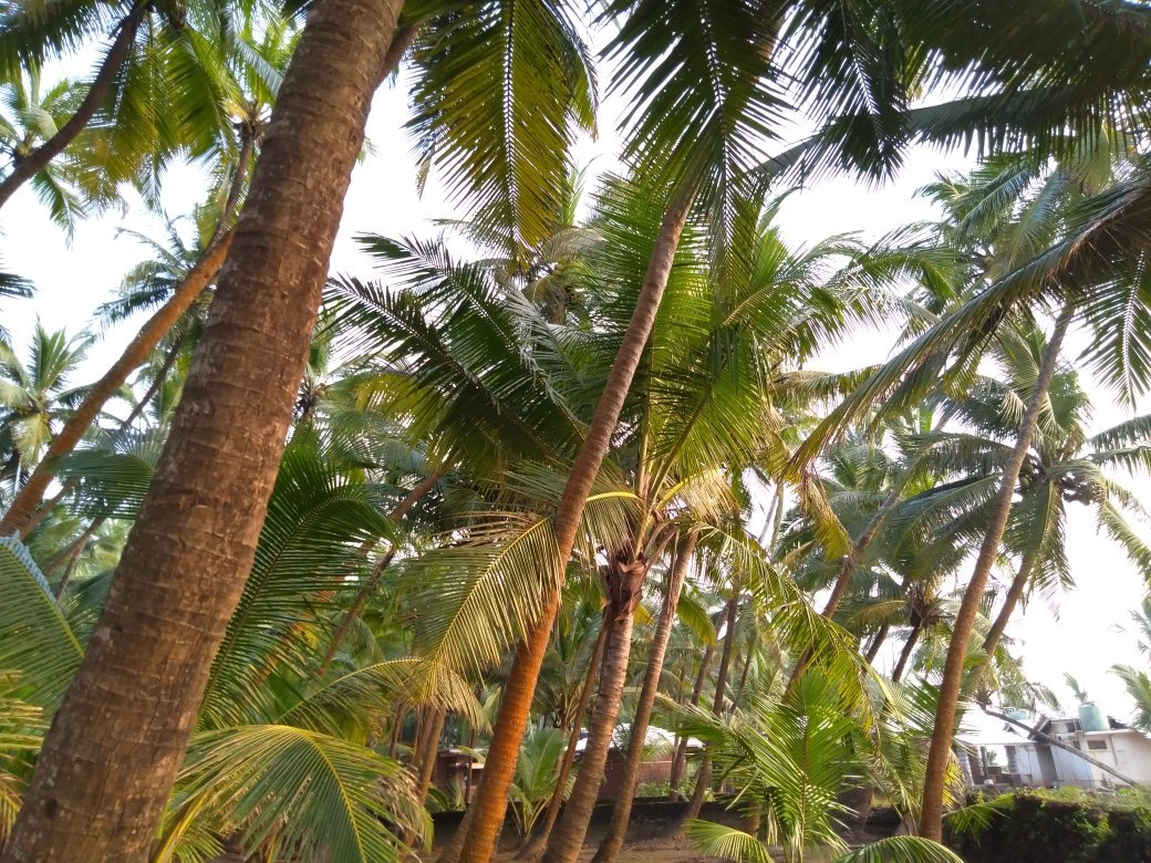 Osari Homestay-官方