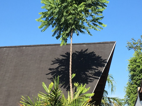 所罗门其塔诺曼达纳酒店主图