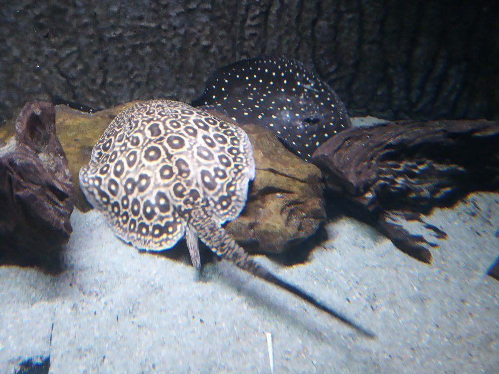 Aquarium Hradec Králové-赫拉德茨克拉洛韦必去景点