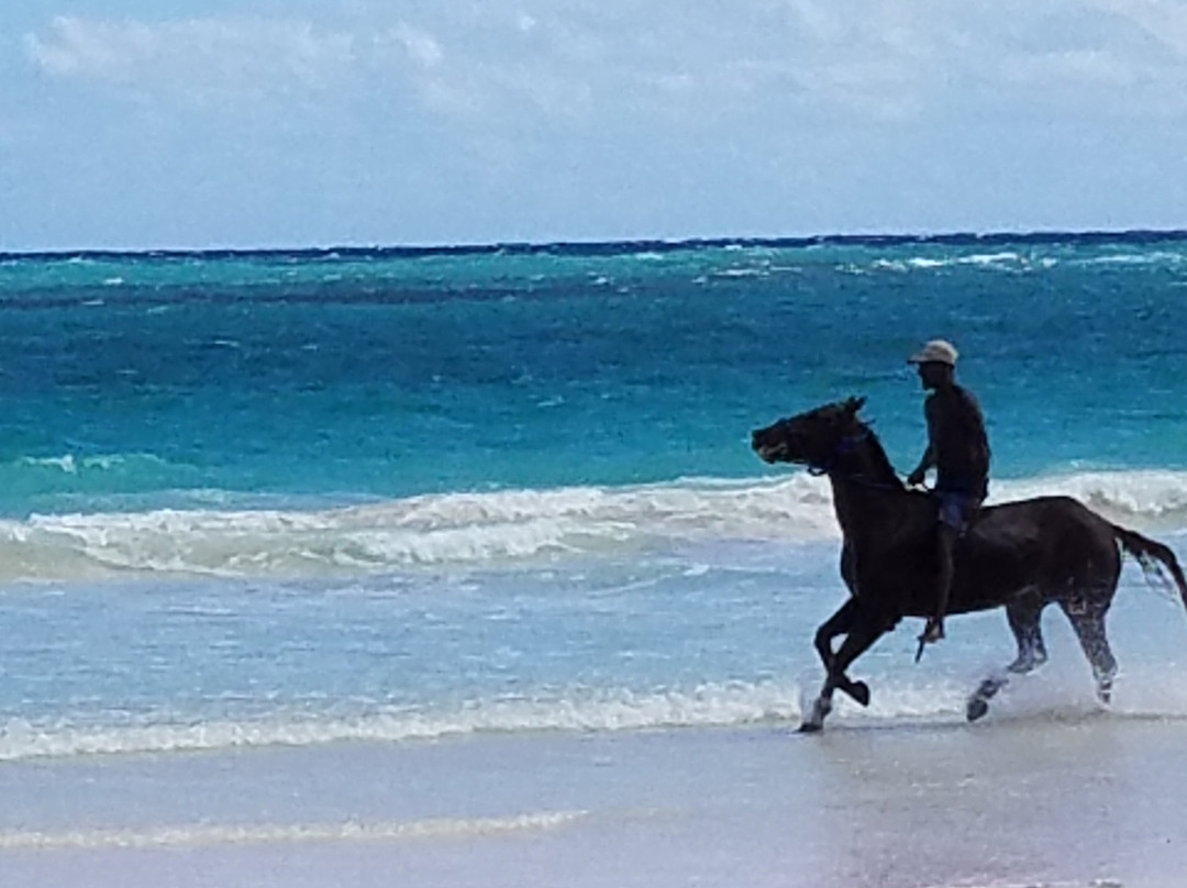 Runaway Hill Inn主图