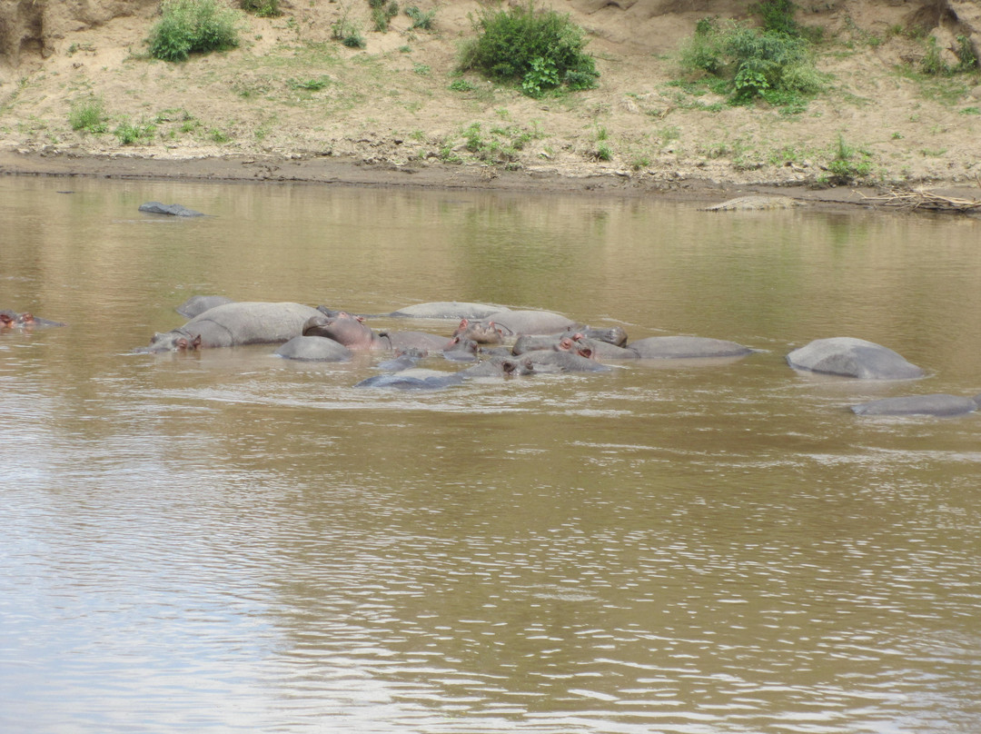 Nairobi and Beyond Safaris-内罗毕必去景点