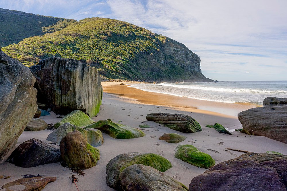 Werrong Beach-Royal National Park必去景点