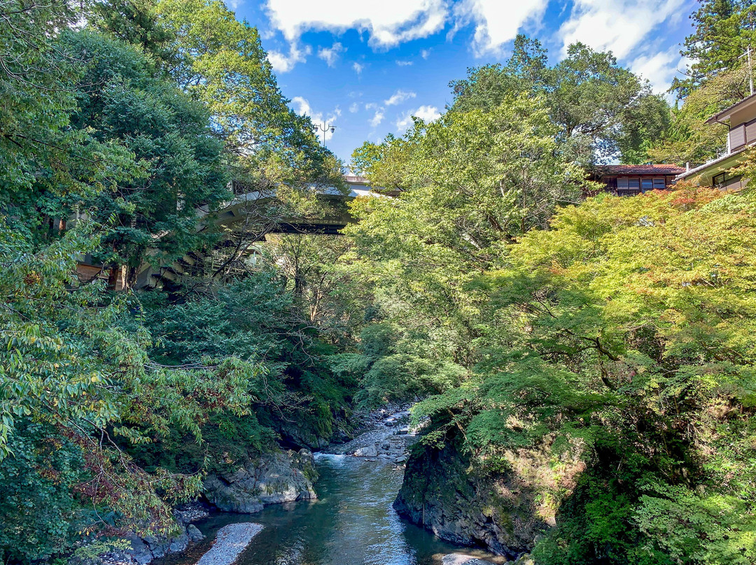 Hikawa Valley-奥多摩町必去景点