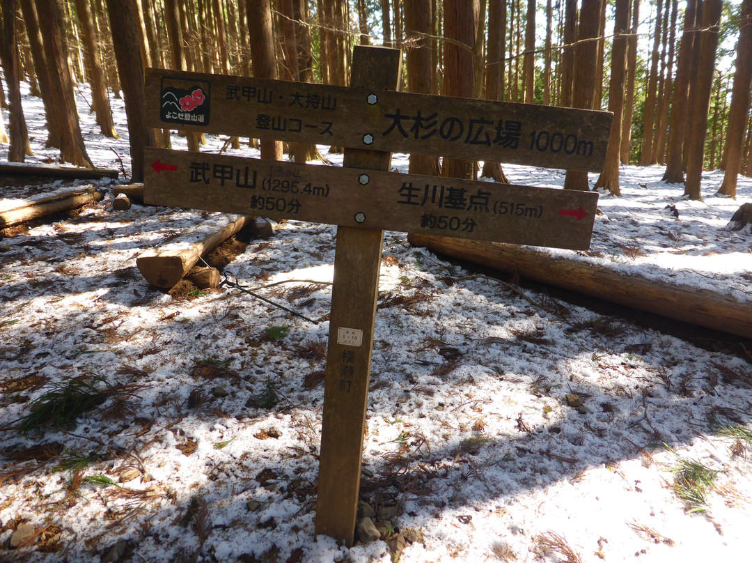 Bukozan no Osugi-横濑町必去景点