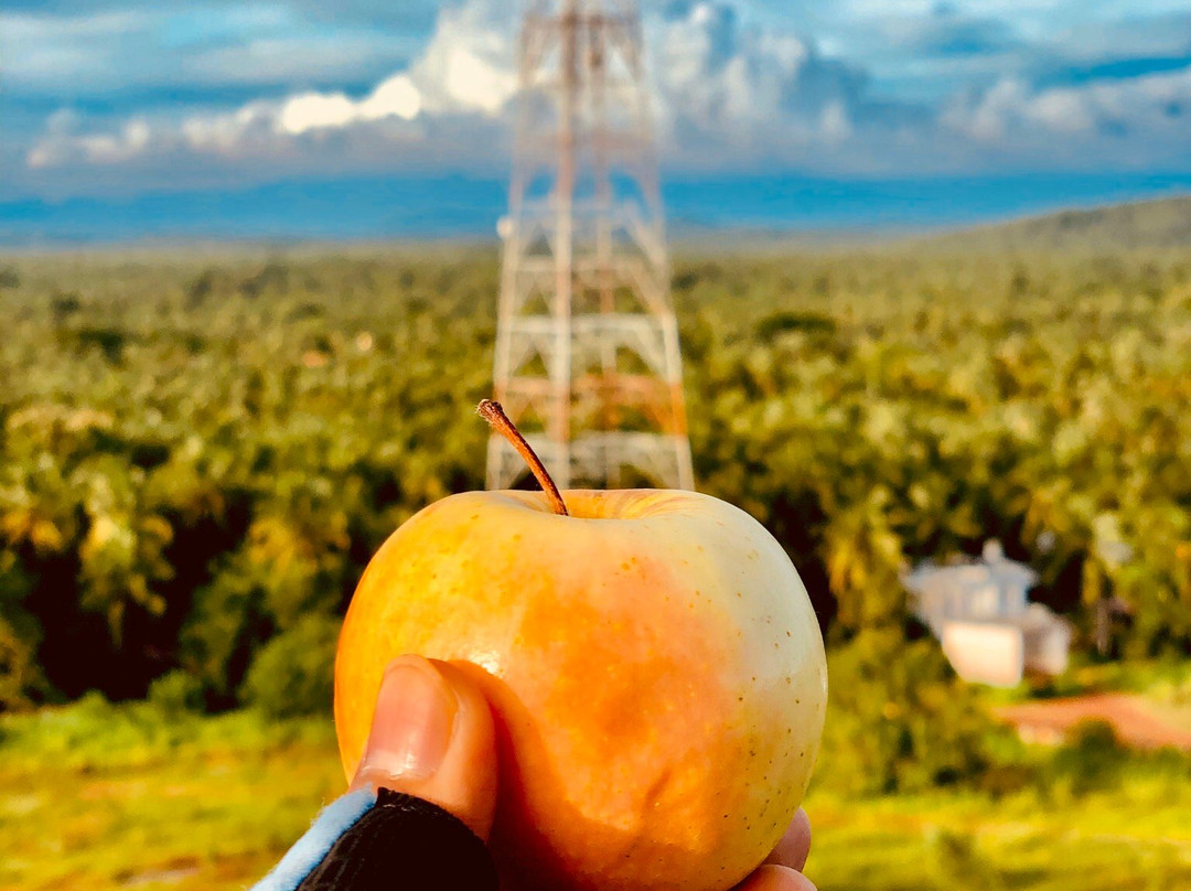 Thikkoti Light House-科泽科德必去景点