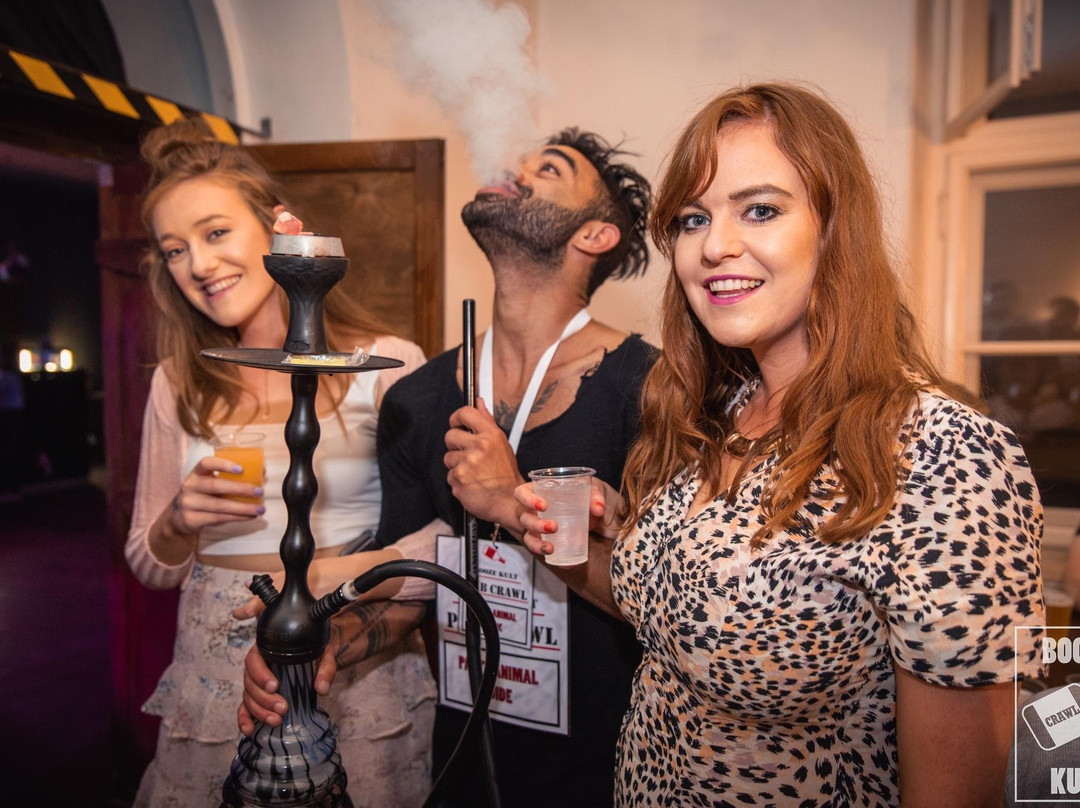 Krakow Party Animals Pub Crawl-克拉科夫必去景点