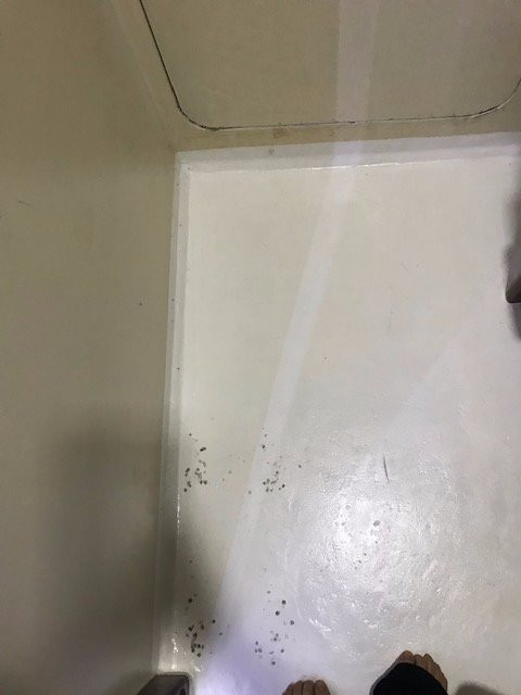 Tapri - Hotel Flutuante主图