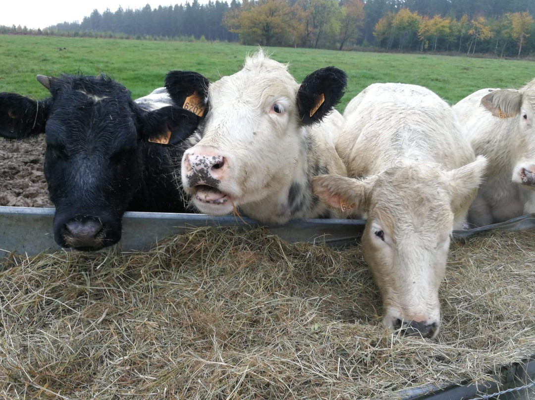 Hotel Gai-Sejour主图