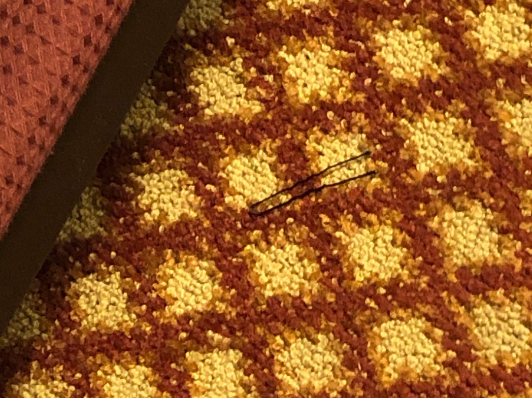 Dancing Rabbit Inn主图