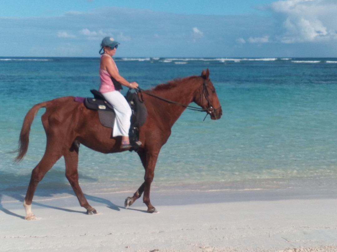 Francis Family Farm-Anegada必去景点