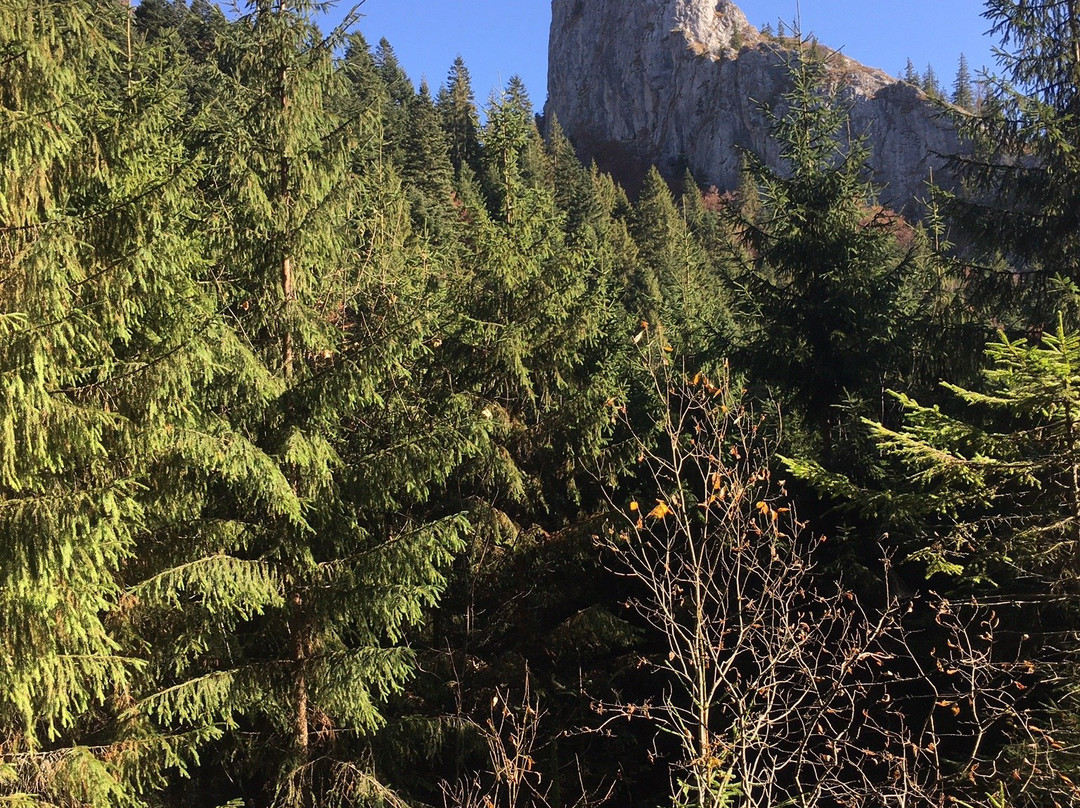 Transylvania Tour Guide-克卢日-纳波卡必去景点