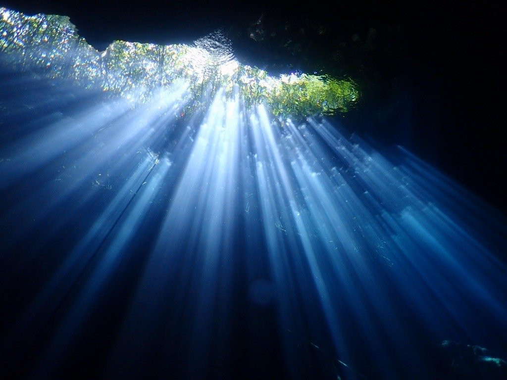 Cenote Jardín del Eden景点图片