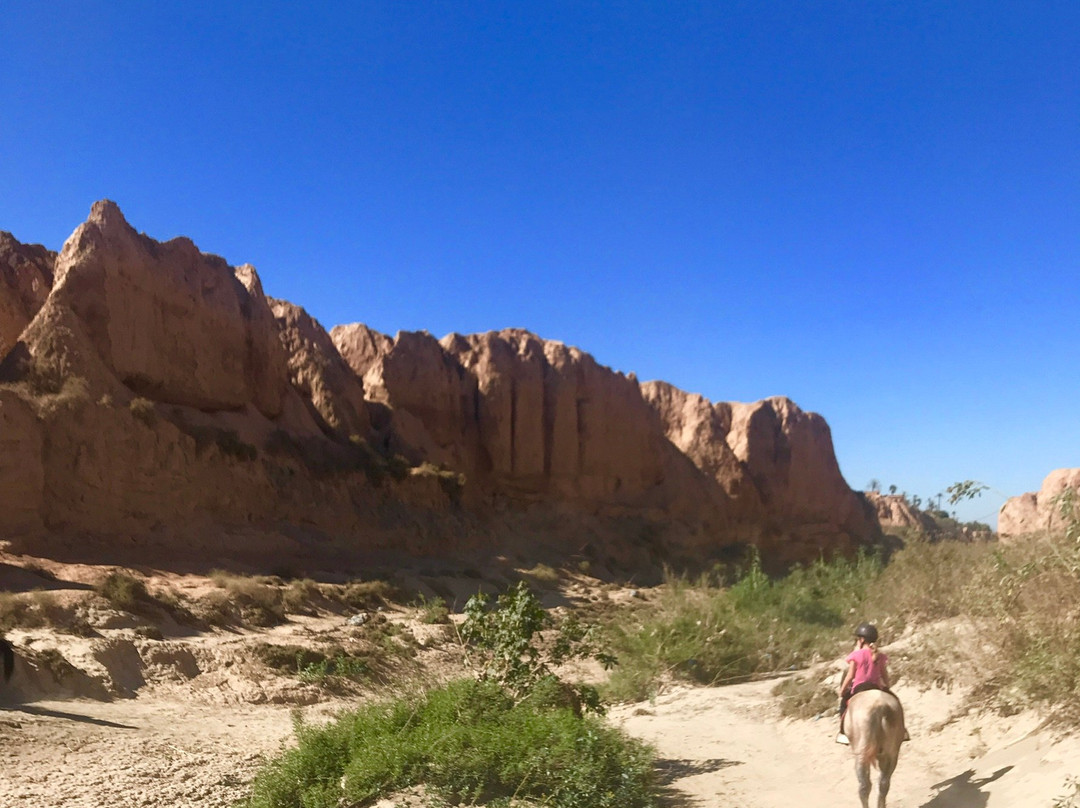 Les écuries de La Roseraie-塔鲁丹特必去景点