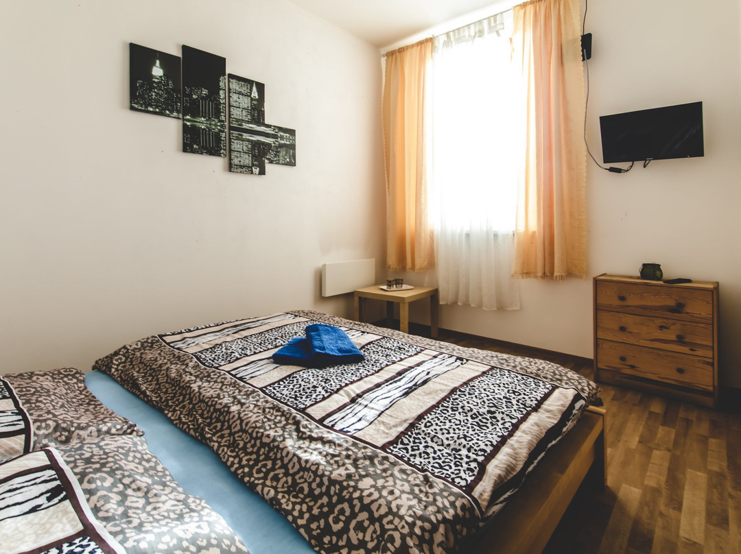 Hostel U Arény主图
