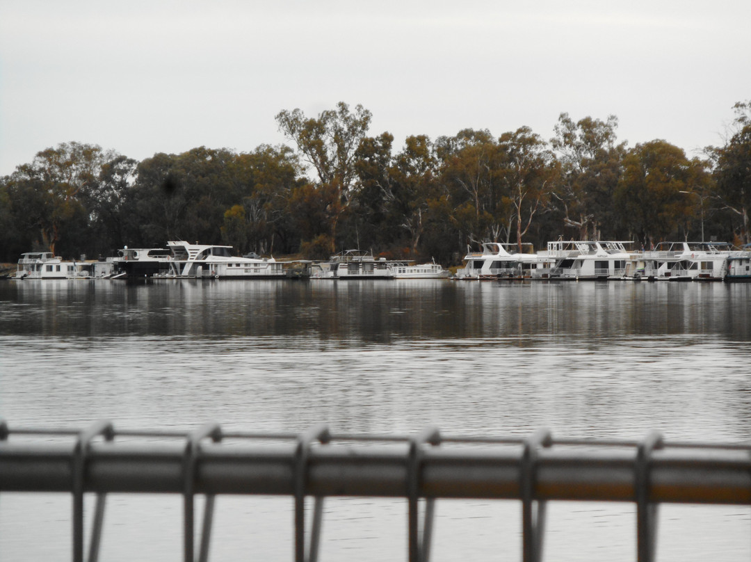 River Murray Ferries景点图片
