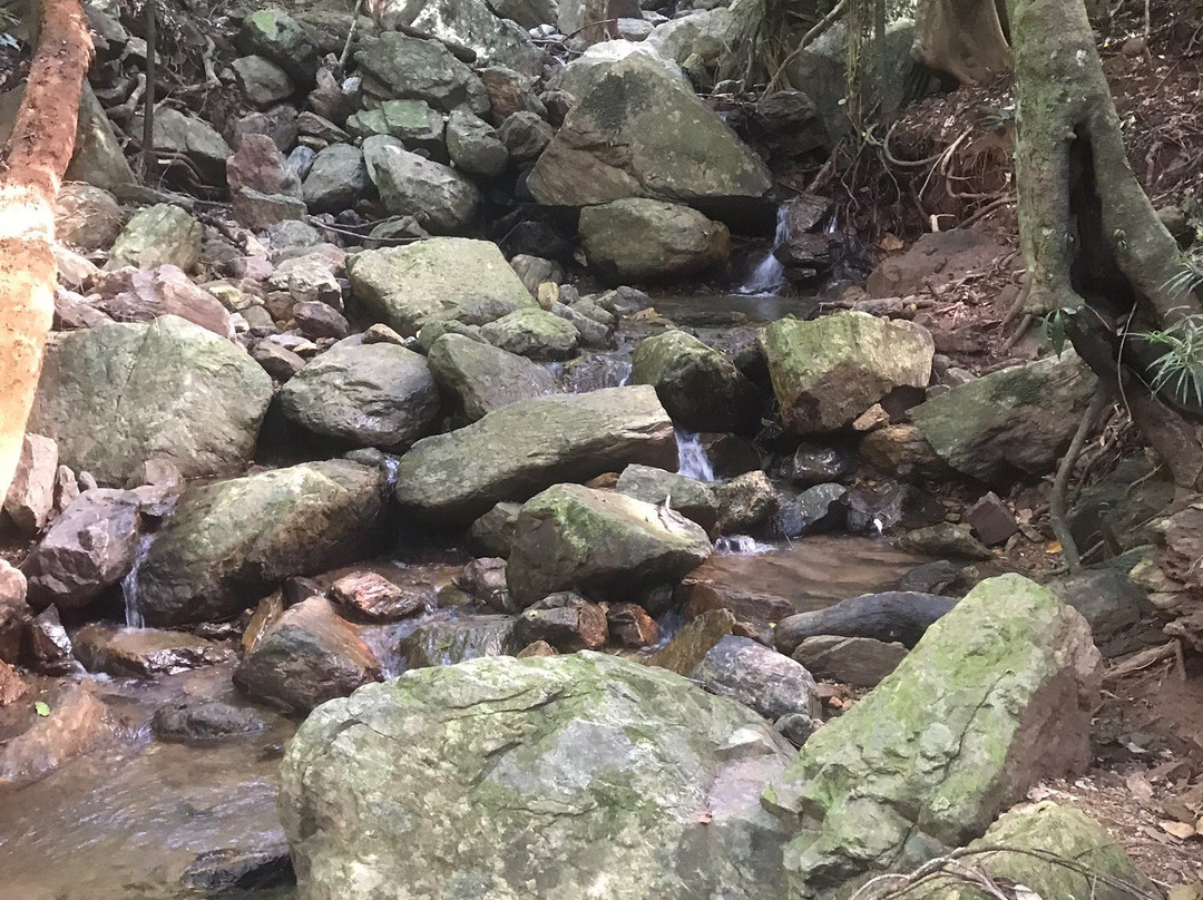Stoney Creek Trail景点图片