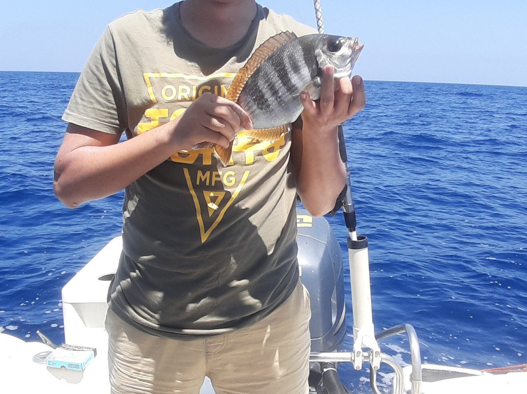Sicily Fishing Charter-戈尔福海堡必去景点