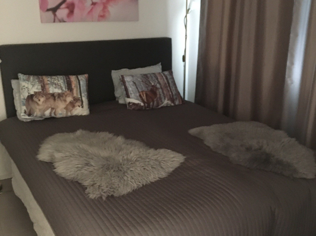 Arctic Resort Delight主图