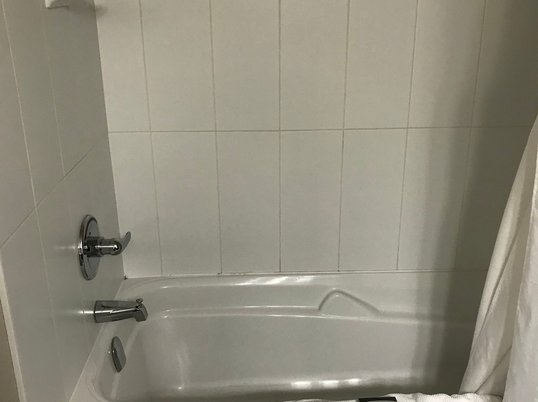 Chateau Bedford, Trademark Collection by Wyndham主图