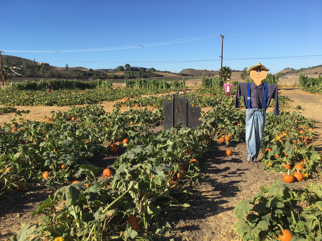 Underwood Family Farms - Moorpark-Moorpark必去景点