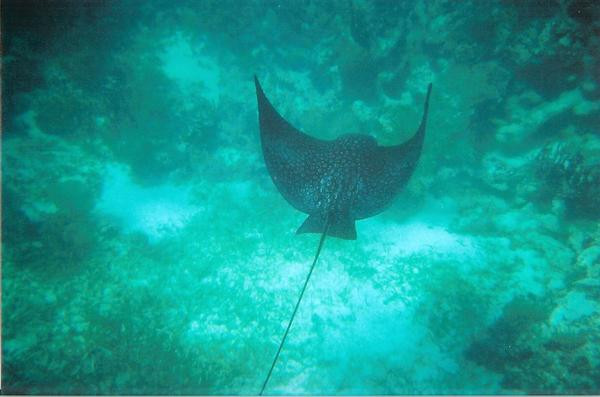 浮潜冒险-坎昆必去景点