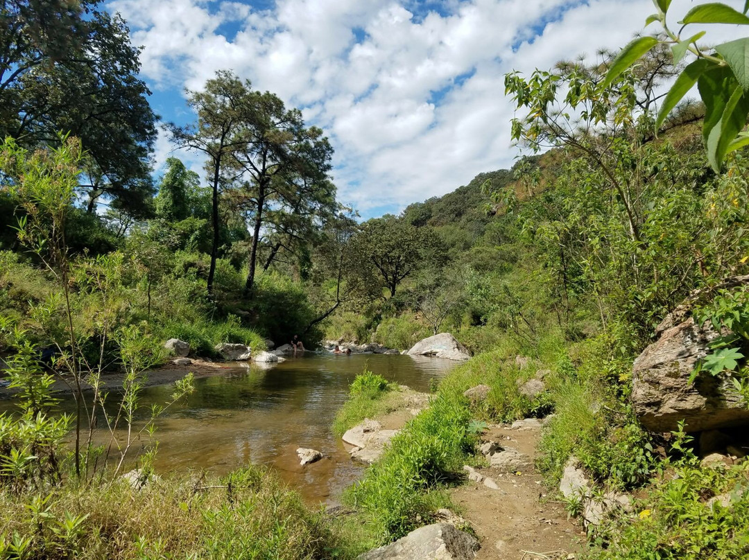 Bosque de la Primavera景点图片