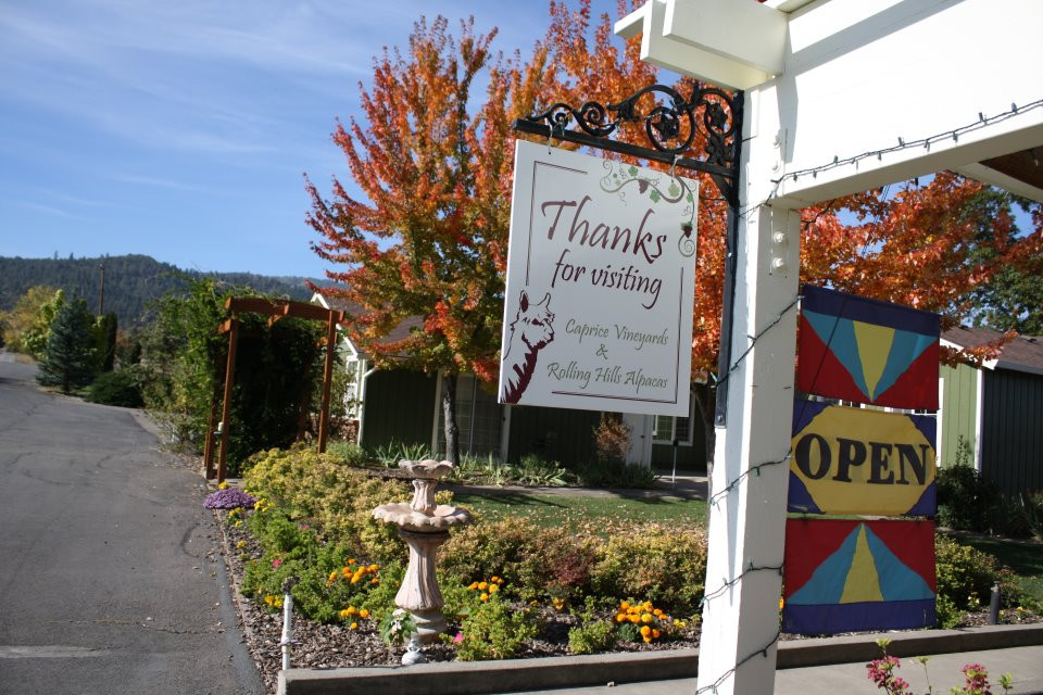 Rolling Hills Alpacas-Central Point必去景点