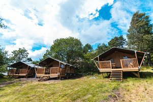 Roligheden Camping