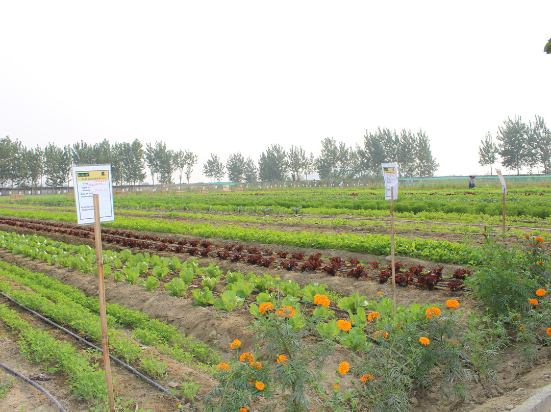 Rewild Life Biodiversity Farms-诺伊达必去景点