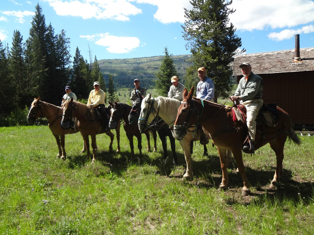 Bear Paw Outfitters-利文斯顿必去景点