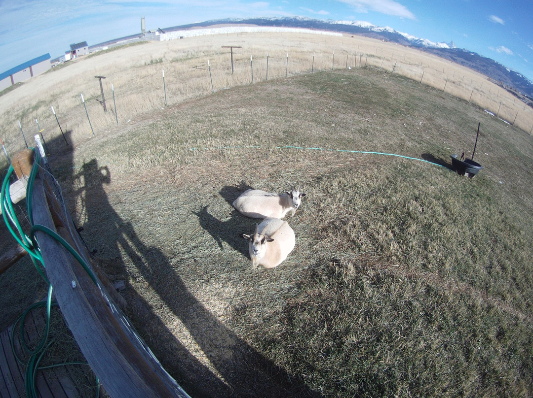 Celtic Creek Trading Company-德里格斯必去景点