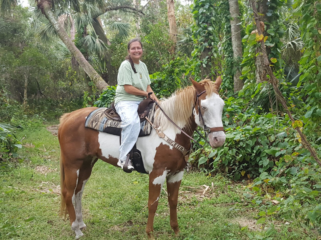 Angel's Appy Acres-维罗海滩必去景点