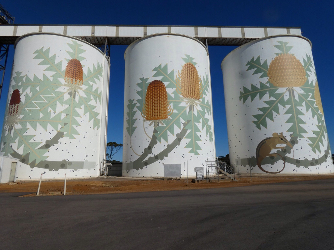 Ravensthorpe Silo Art-Ravensthorpe必去景点