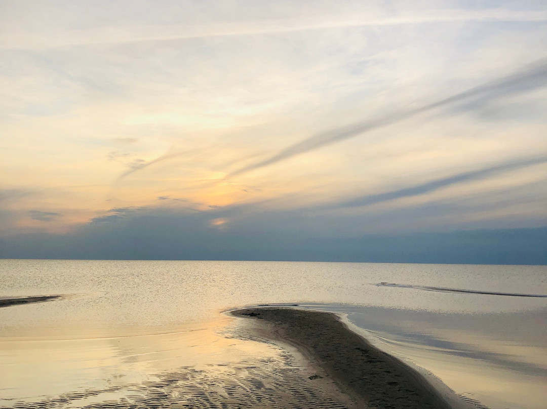 Chudskoye Lake景点图片