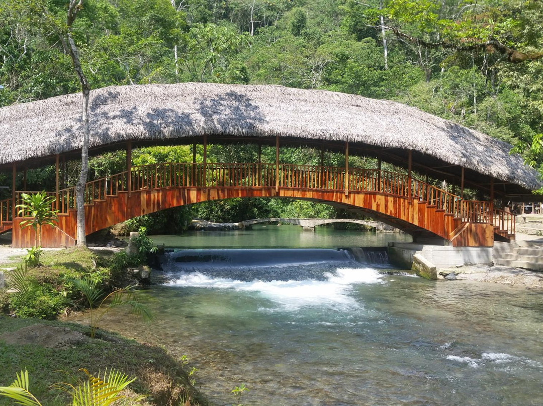 San Martin Region旅游景点-Centro Turistico Naciente Del Río Tio Yacu