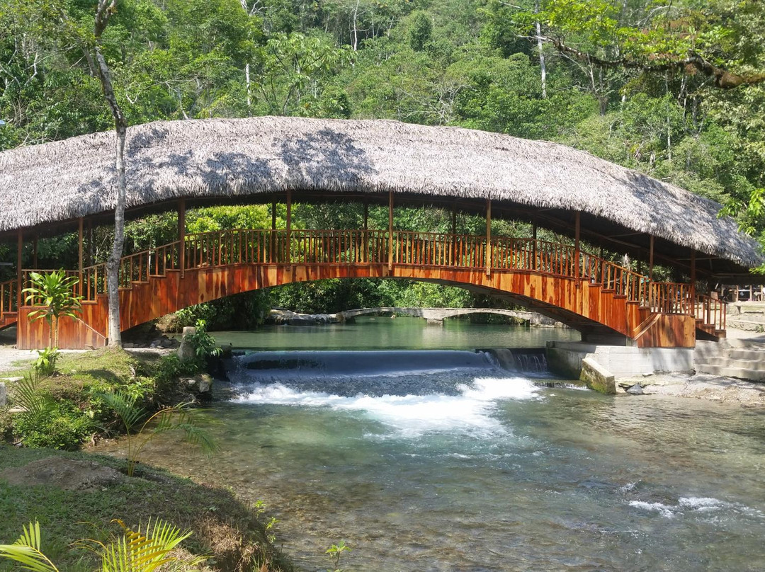 Centro Turistico Naciente del Río Tio Yacu景点图片