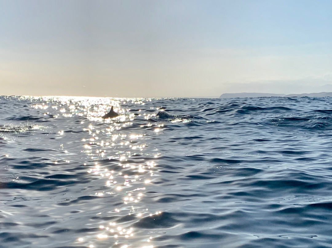 Ocean Odyssey-克尼斯纳必去景点