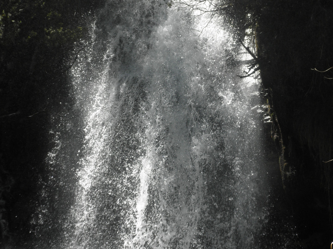 Cataratas de Yuracyacu