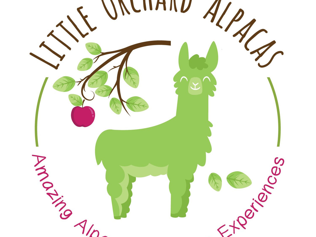 Little Orchard Alpacas景点图片